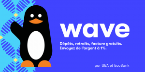 wave