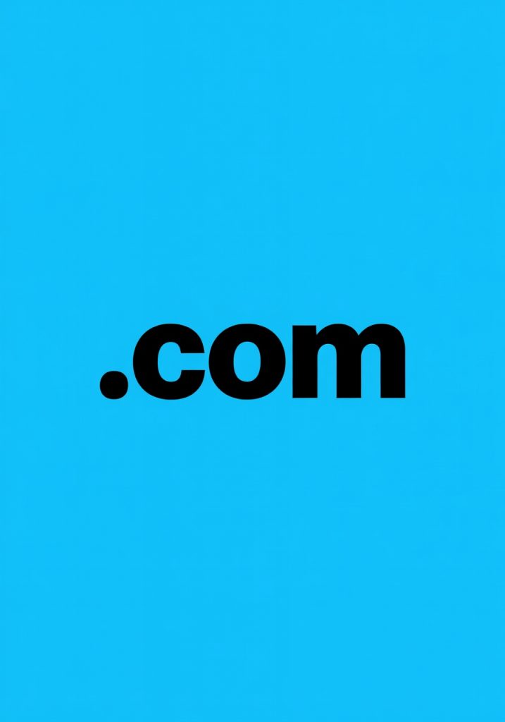 Nom de domaine .com